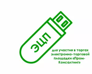 картинка Электронная подпись для участия в торгах электронно-торговой площадки «Пром-Консалтинг» от магазина ККМ.ЦЕНТР