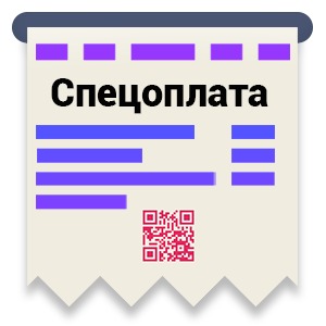 Спецоплата (1 год)
