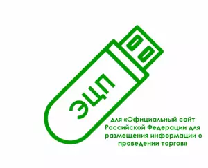 Электронная подпись для «Официальный сайт Российской Федерации для размещения информации о проведении торгов» (torgi.gov.ru)